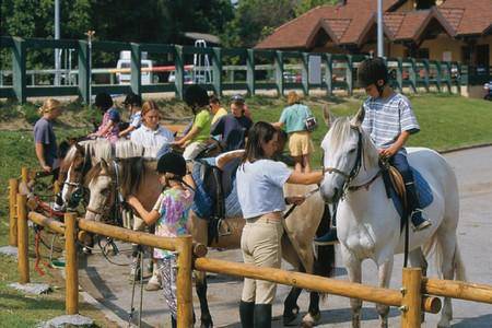 Ecole d'equitation